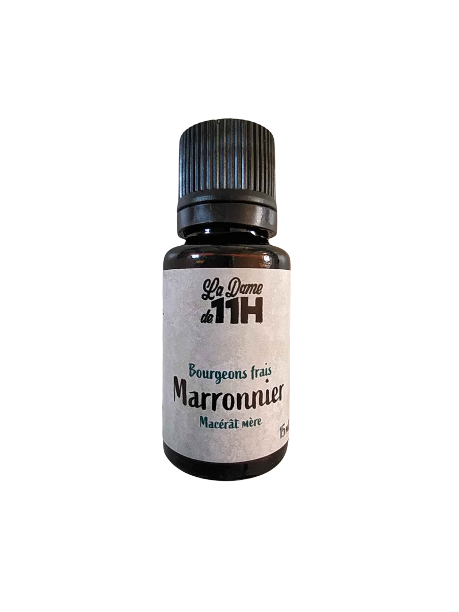Marronnier, macérât mère