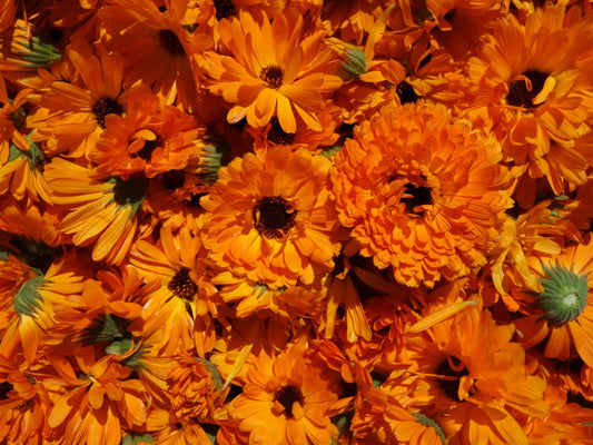 Le Coffret Découverte