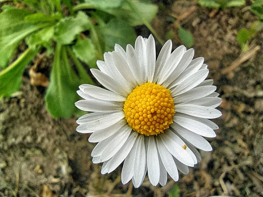 Le Coffret Bien-Être