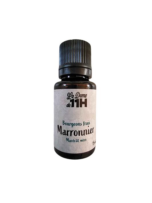 Marronnier, macérât mère