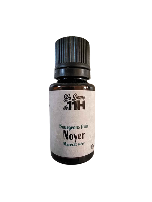 Noyer, macérât mère